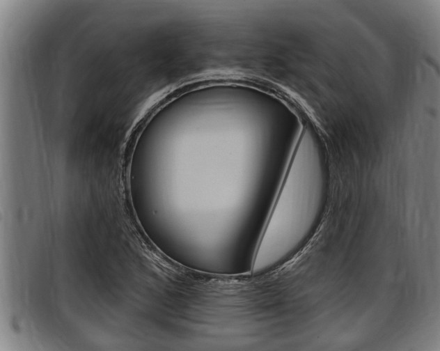 X0000098111168200804040755