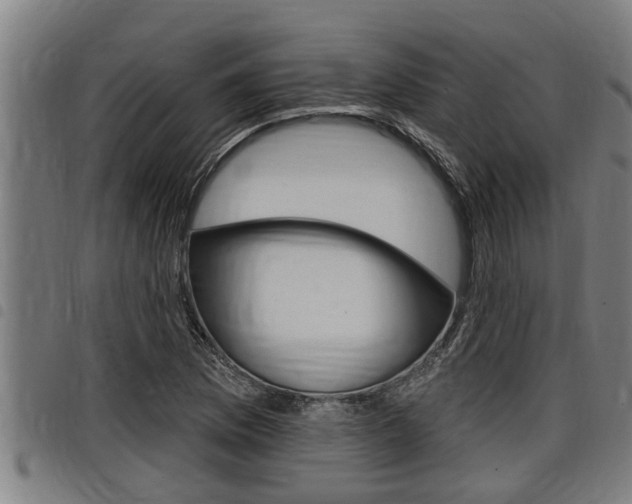 X0000098111169200804040755