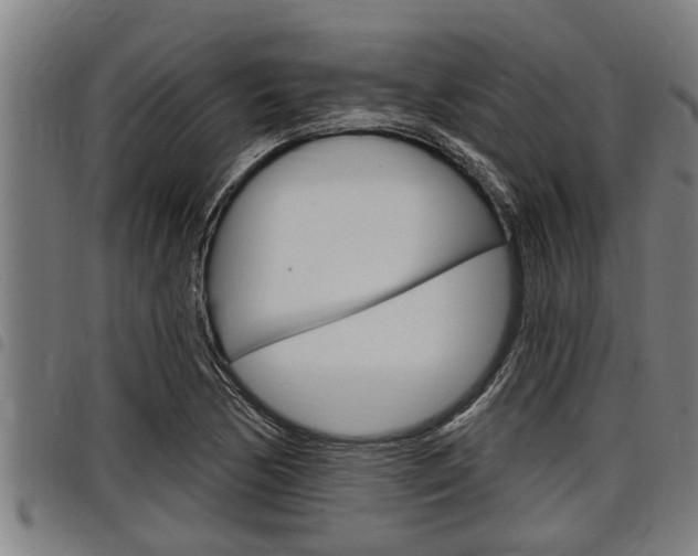 X0000098111170200804040755