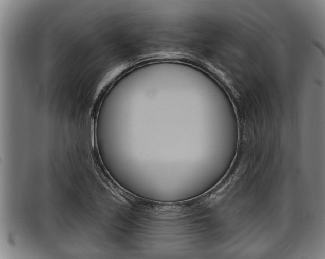 X0000098111171200804040755