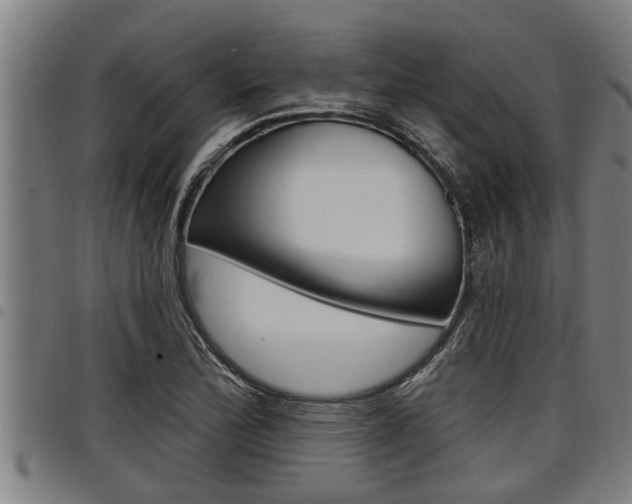 X0000098111172200804040755