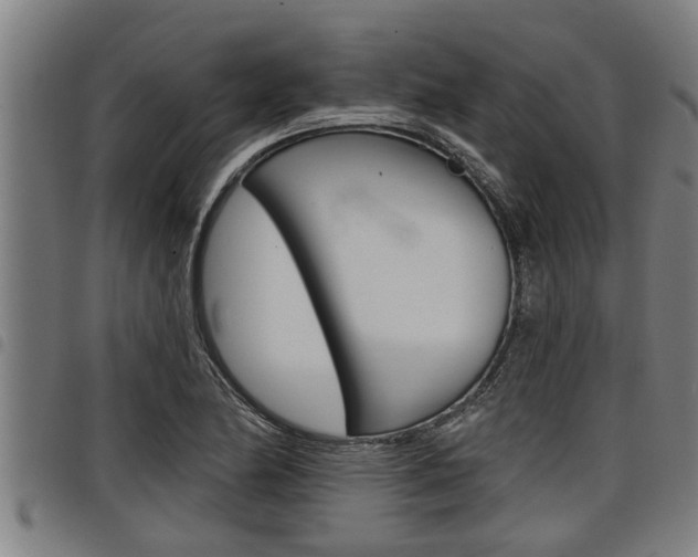 X0000098111174200804040755
