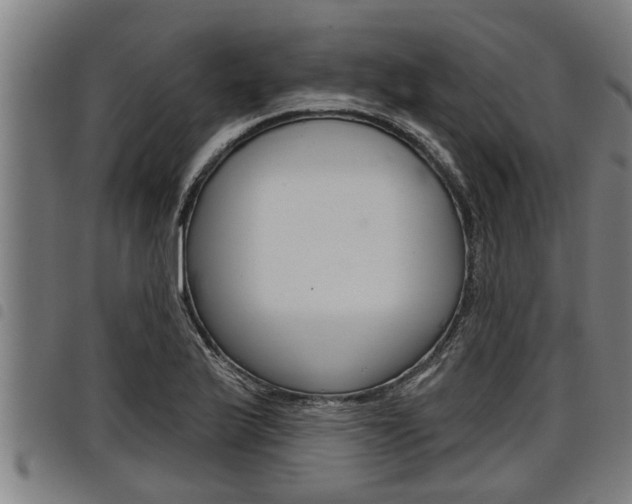 X0000098111175200804040755