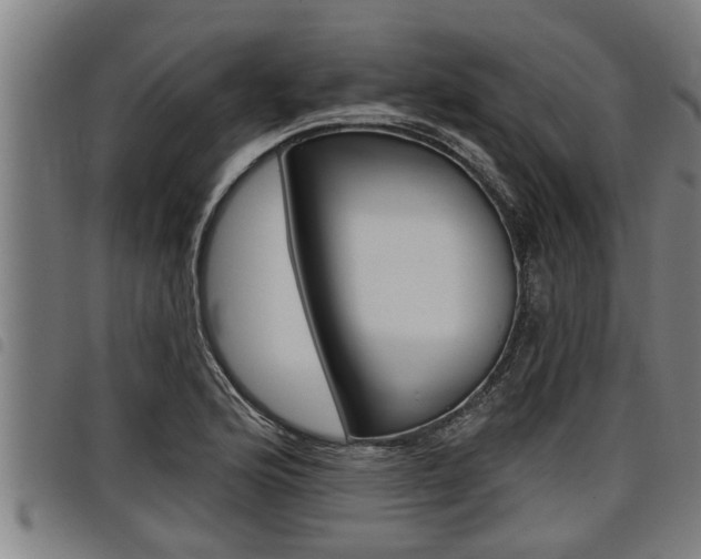 X0000098111176200804040755