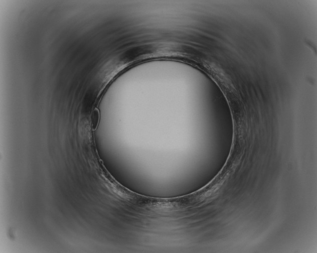 X0000098111177200804040755