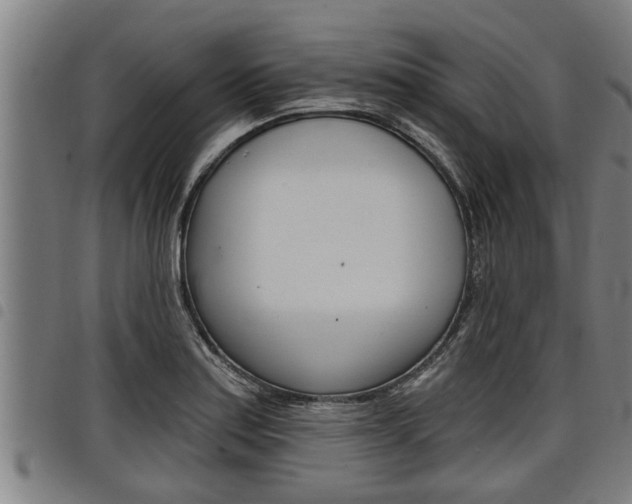 X0000098111179200804040755