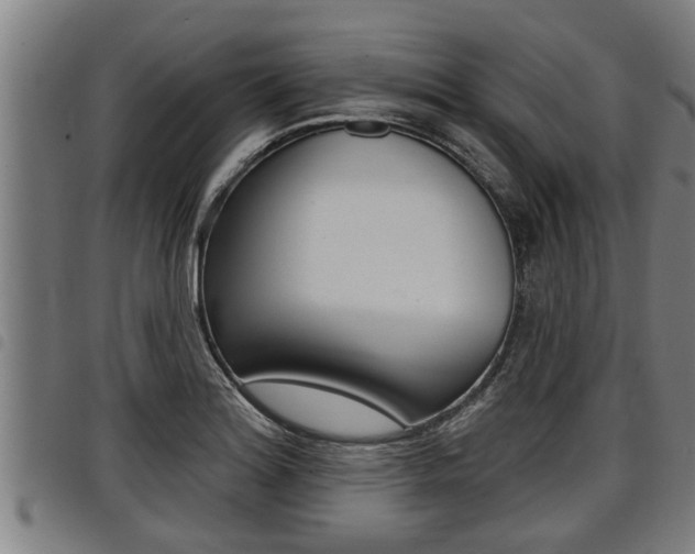 X0000098111180200804040755