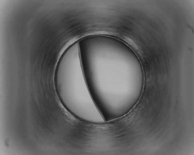 X0000098111181200804040754