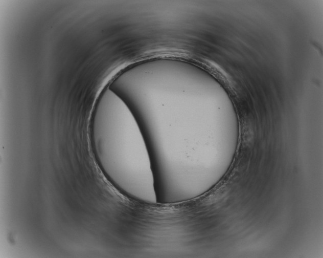 X0000098111182200804040754
