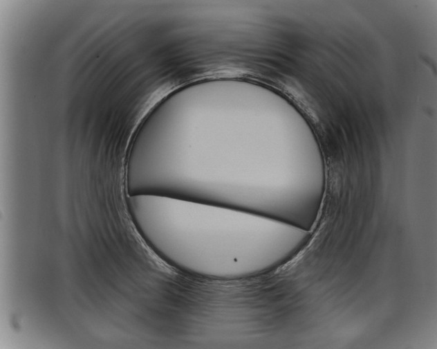 X0000098111186200804040754