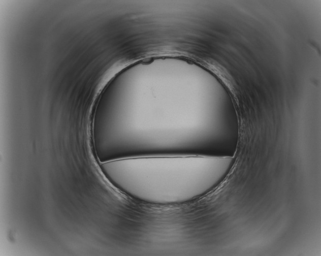 X0000098111187200804040754