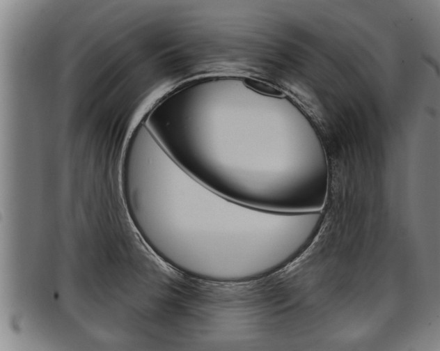 X0000098111188200804040754