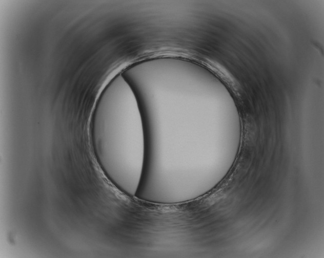 X0000098111190200804040754
