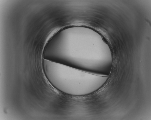 X0000098111191200804040754