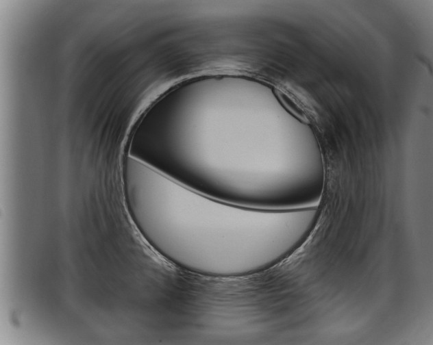 X0000098111192200804040754