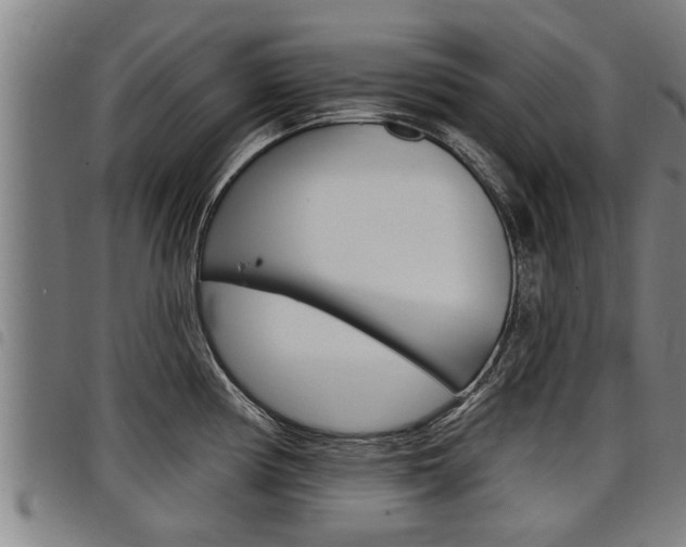 X0000098111194200804040754