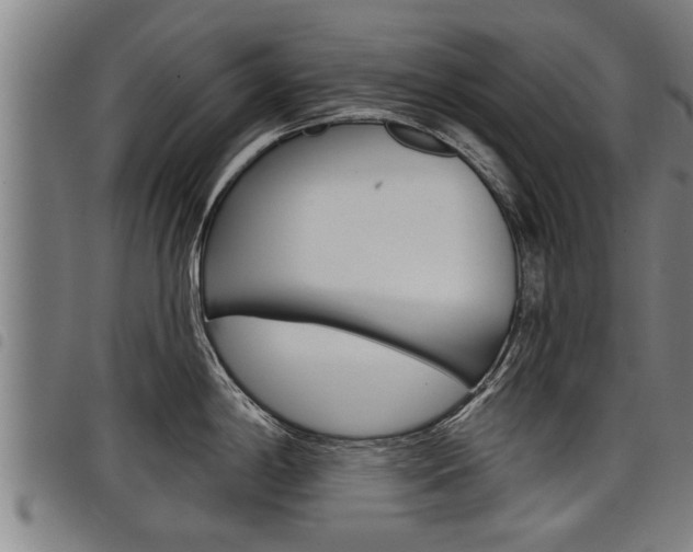 X0000098111198200804040754
