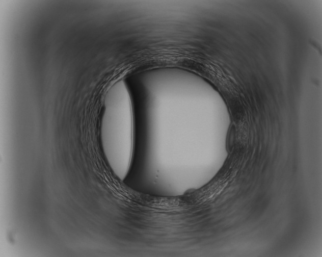 X0000098111201200804040753