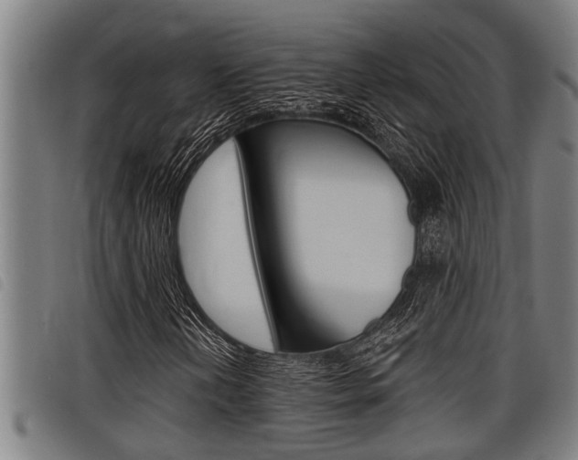 X0000098111202200804040753