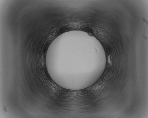 X0000098111203200804040753