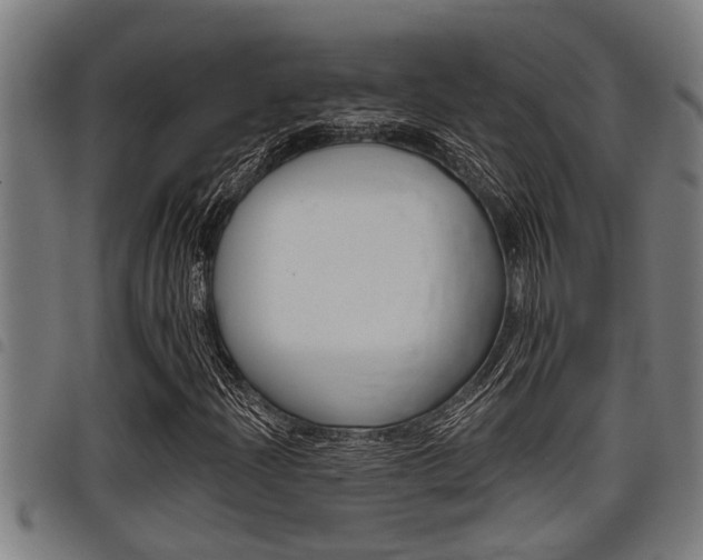X0000098111204200804040753