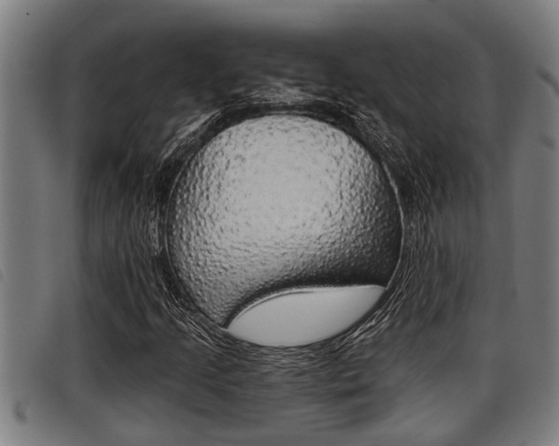 X0000098111205200804040753