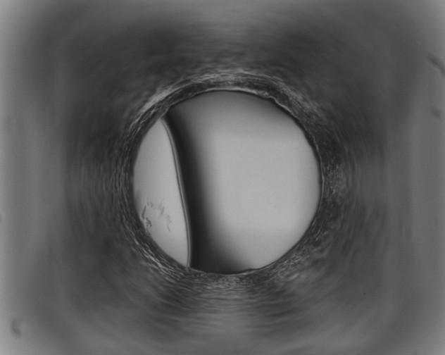 X0000098111206200804040753