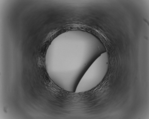 X0000098111207200804040753