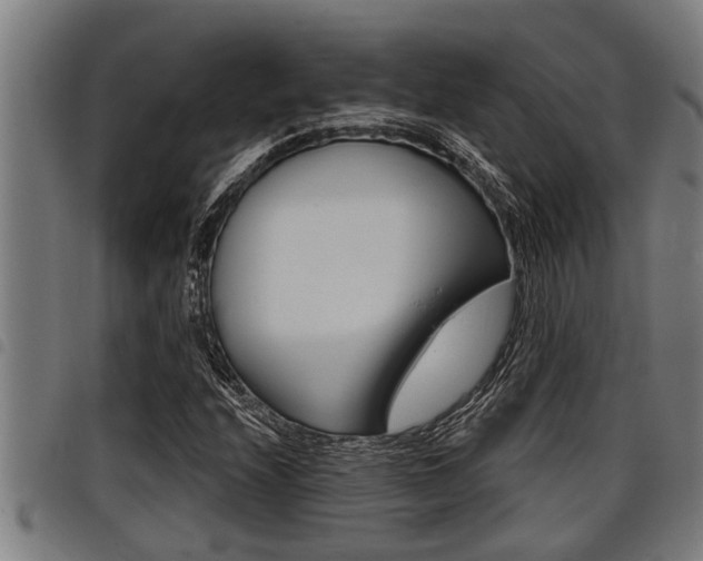 X0000098111208200804040753