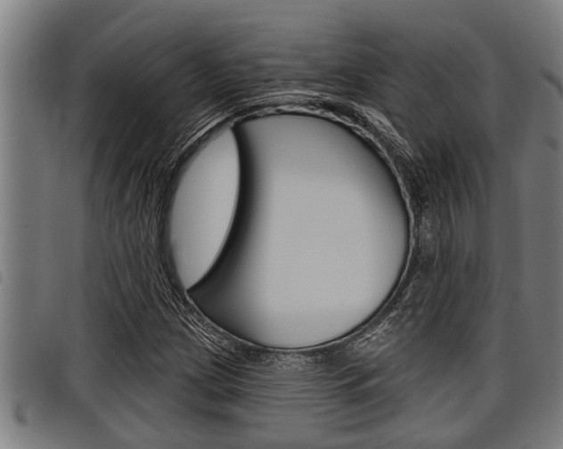 X0000098111209200804040754