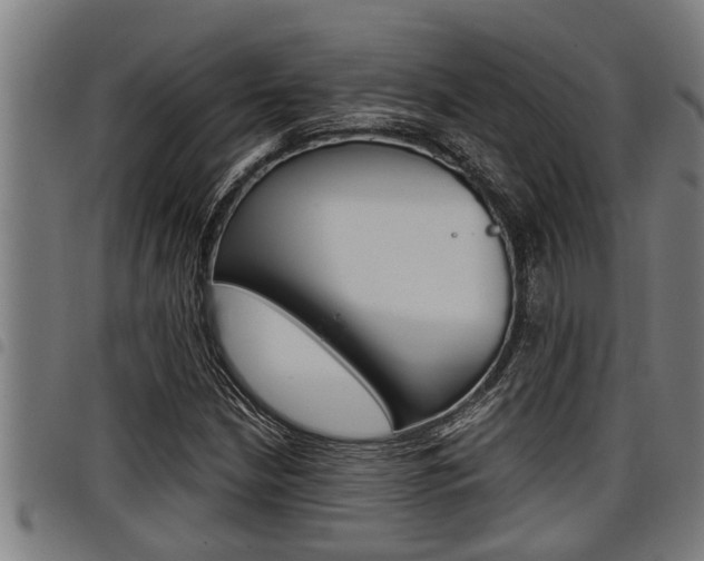 X0000098111210200804040754