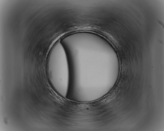X0000098111212200804040754