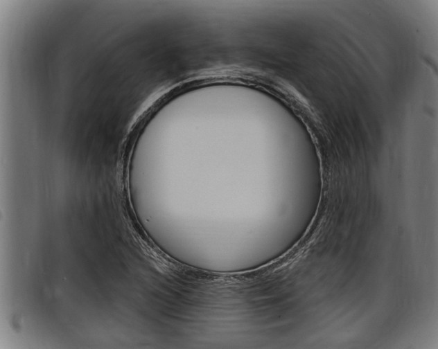 X0000098111216200804040754