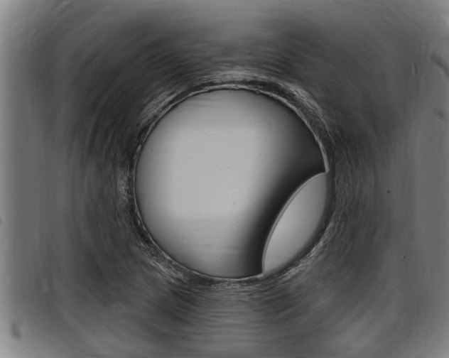X0000098111217200804040754