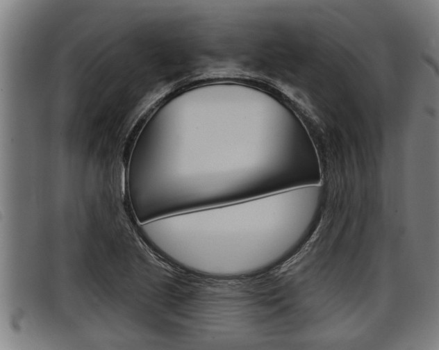 X0000098111221200804040754