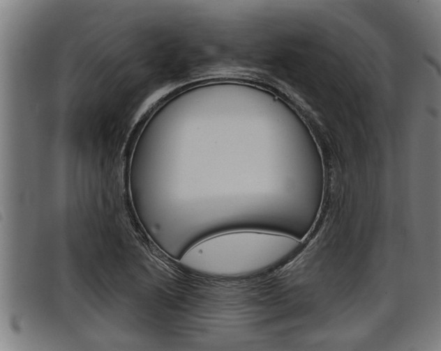 X0000098111222200804040754