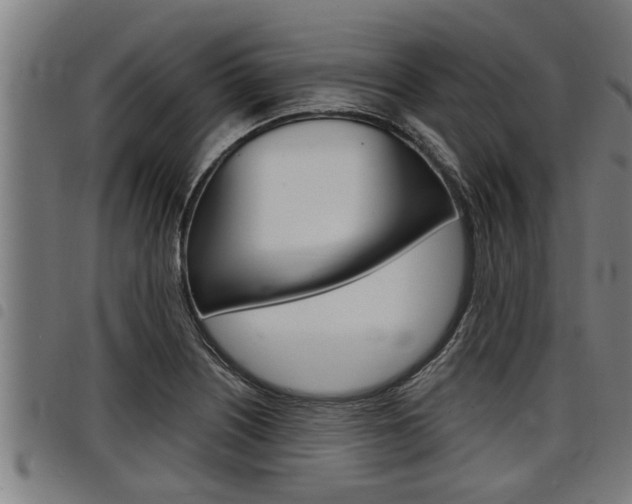 X0000098111226200804040754