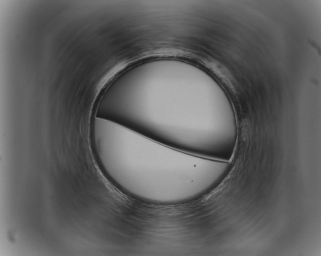 X0000098111229200804040754
