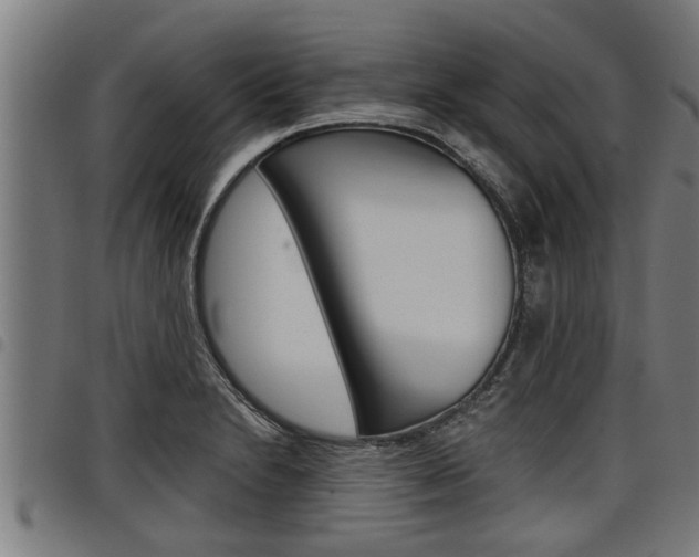 X0000098111230200804040754