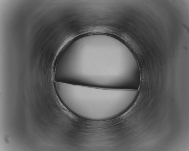X0000098111232200804040754