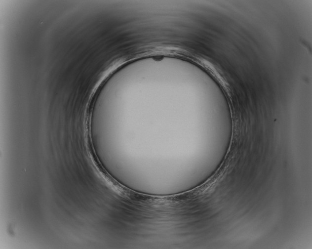 X0000098111235200804040754