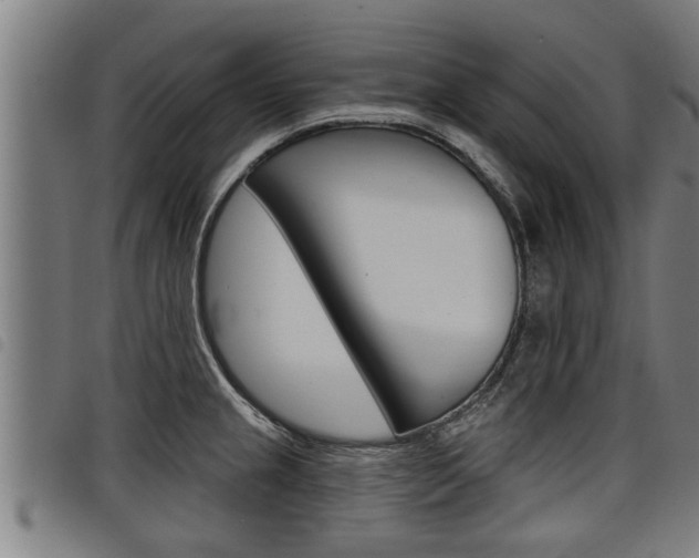 X0000098111237200804040754