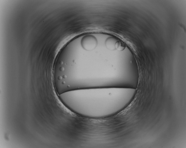 X0000098111239200804040754