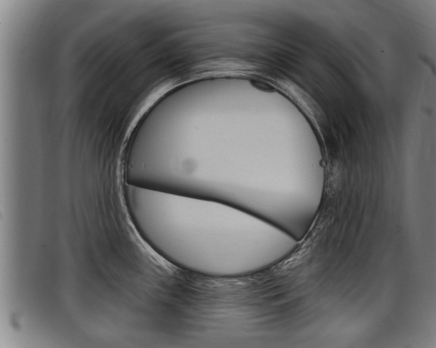 X0000098111243200804040754