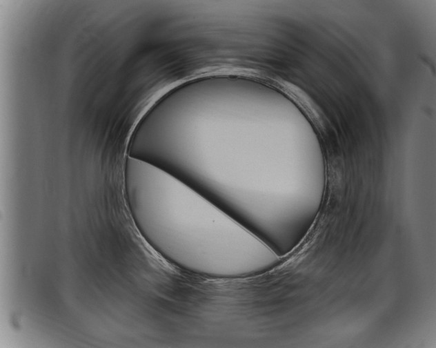 X0000098111244200804040754