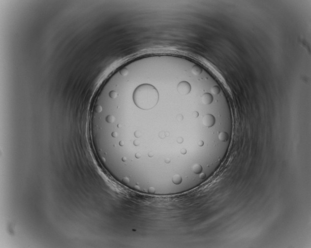 X0000098111245200804040754