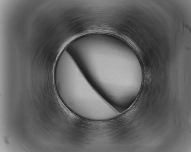 X0000098111246200804040754