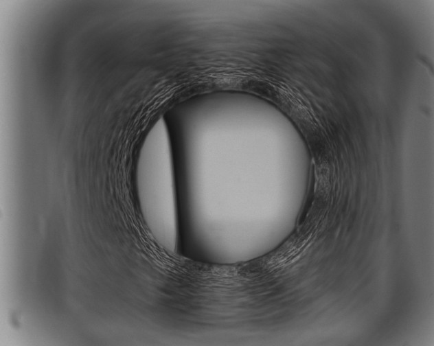 X0000098111249200804040753