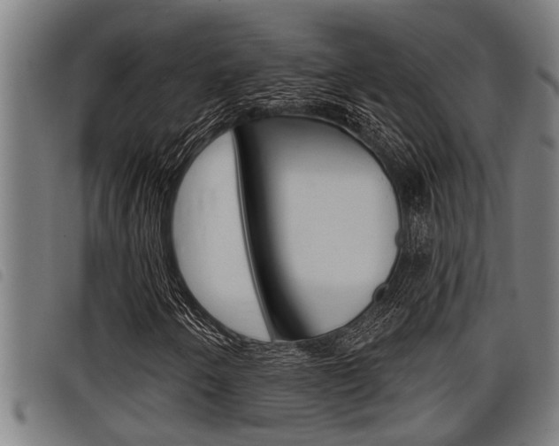 X0000098111250200804040753