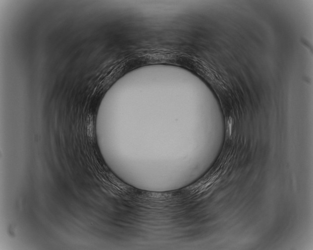 X0000098111251200804040753